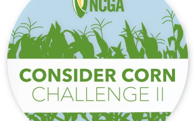 Sumatra wins Consider Corn Challenge II